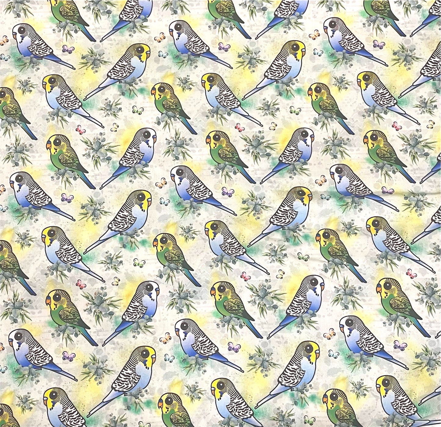 Button Shirt- Budgies